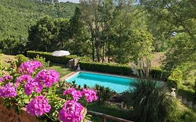 Agriturismo Casentino - Fattoria Ventrina