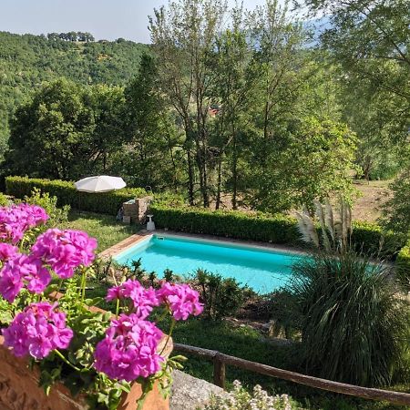 Agriturismo Casentino - Fattoria Ventrina Martina Exterior foto