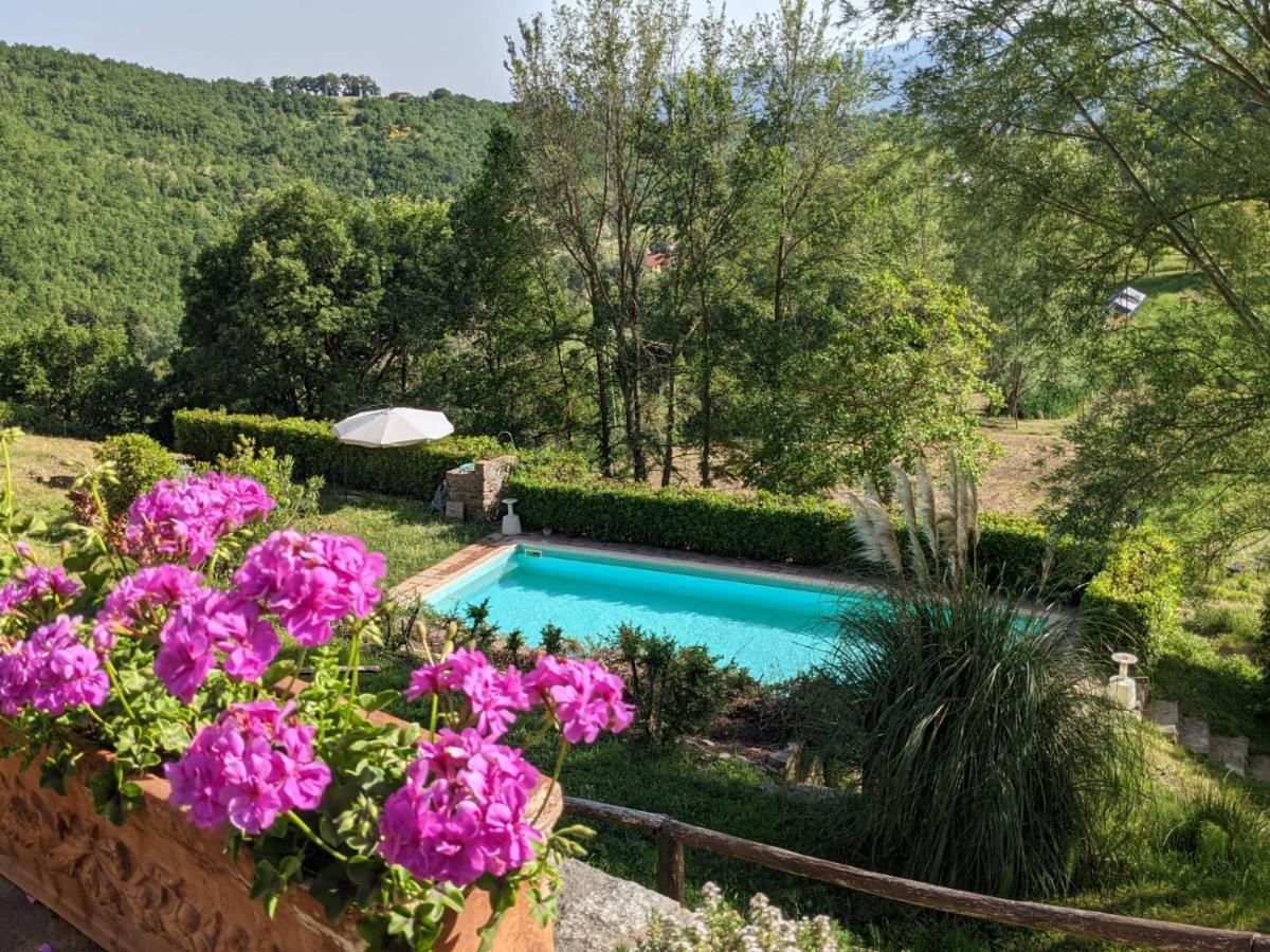 Agriturismo Casentino - Fattoria Ventrina Martina Exterior foto