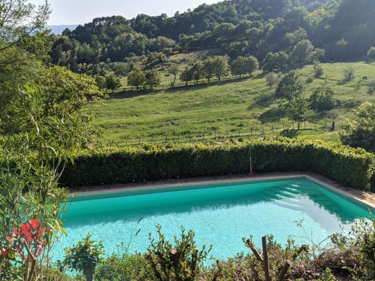 Agriturismo Casentino - Fattoria Ventrina Martina Exterior foto