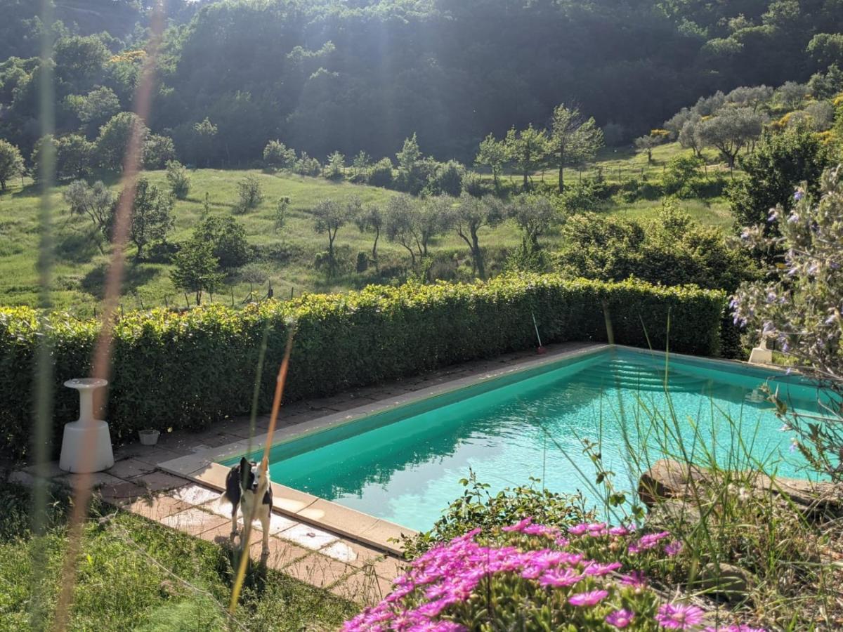 Agriturismo Casentino - Fattoria Ventrina Martina Exterior foto
