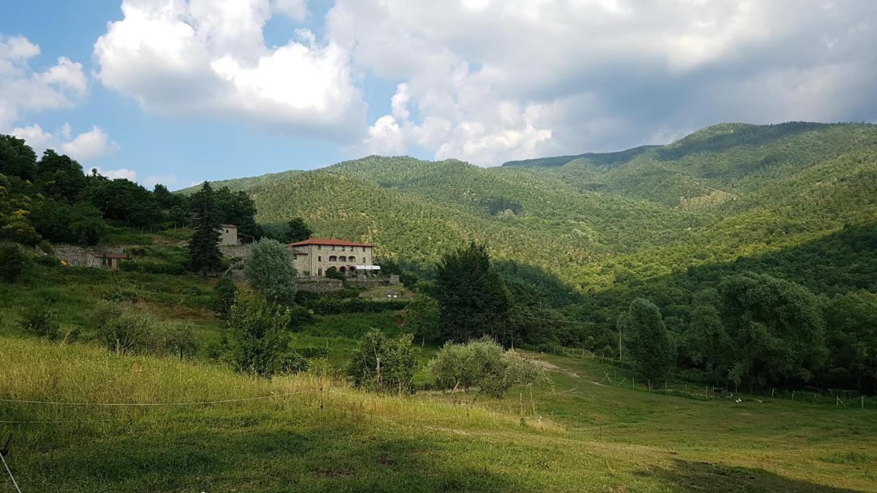 Agriturismo Casentino - Fattoria Ventrina Martina Exterior foto